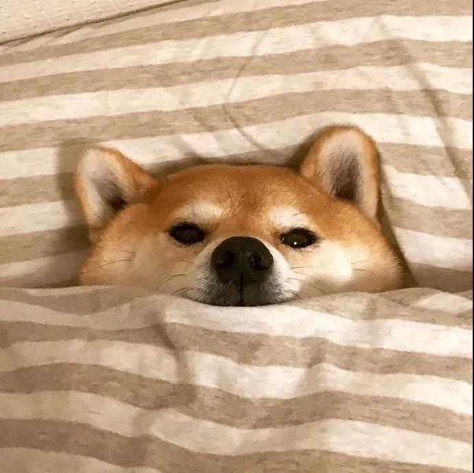 的点点滴滴图片1